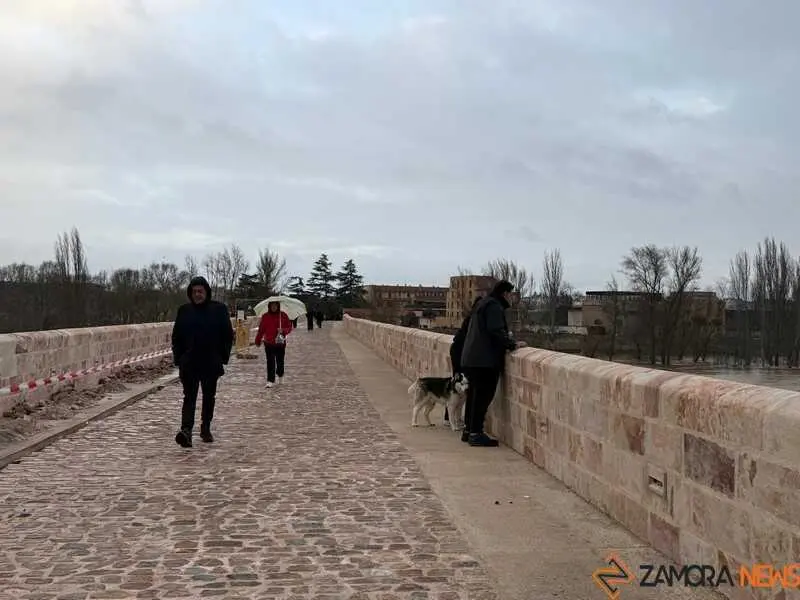 el r&iacute;o Duero a su paso por Zamora en un d&iacute;a nublado _16