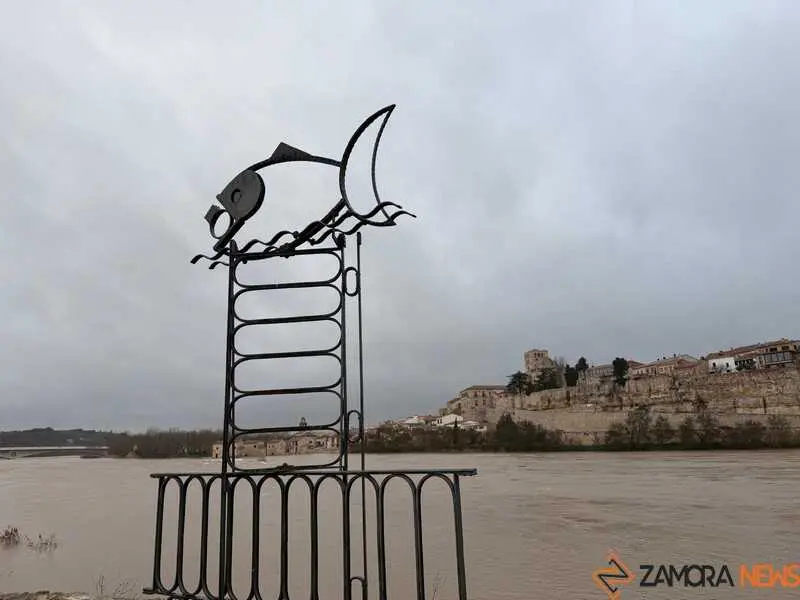 el r&iacute;o Duero a su paso por Zamora en un d&iacute;a nublado _20