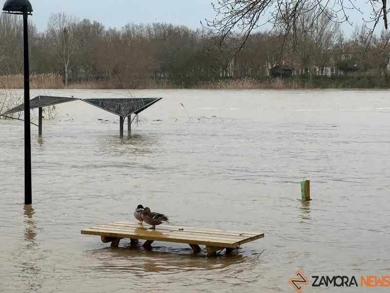 el r&iacute;o Duero a su paso por Zamora en un d&iacute;a nublado _22