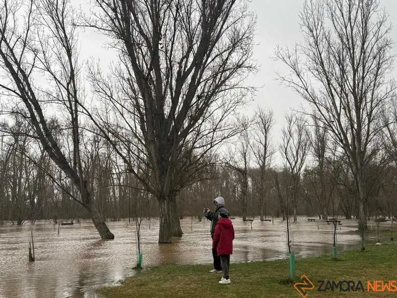 el r&iacute;o Duero a su paso por Zamora en un d&iacute;a nublado _29