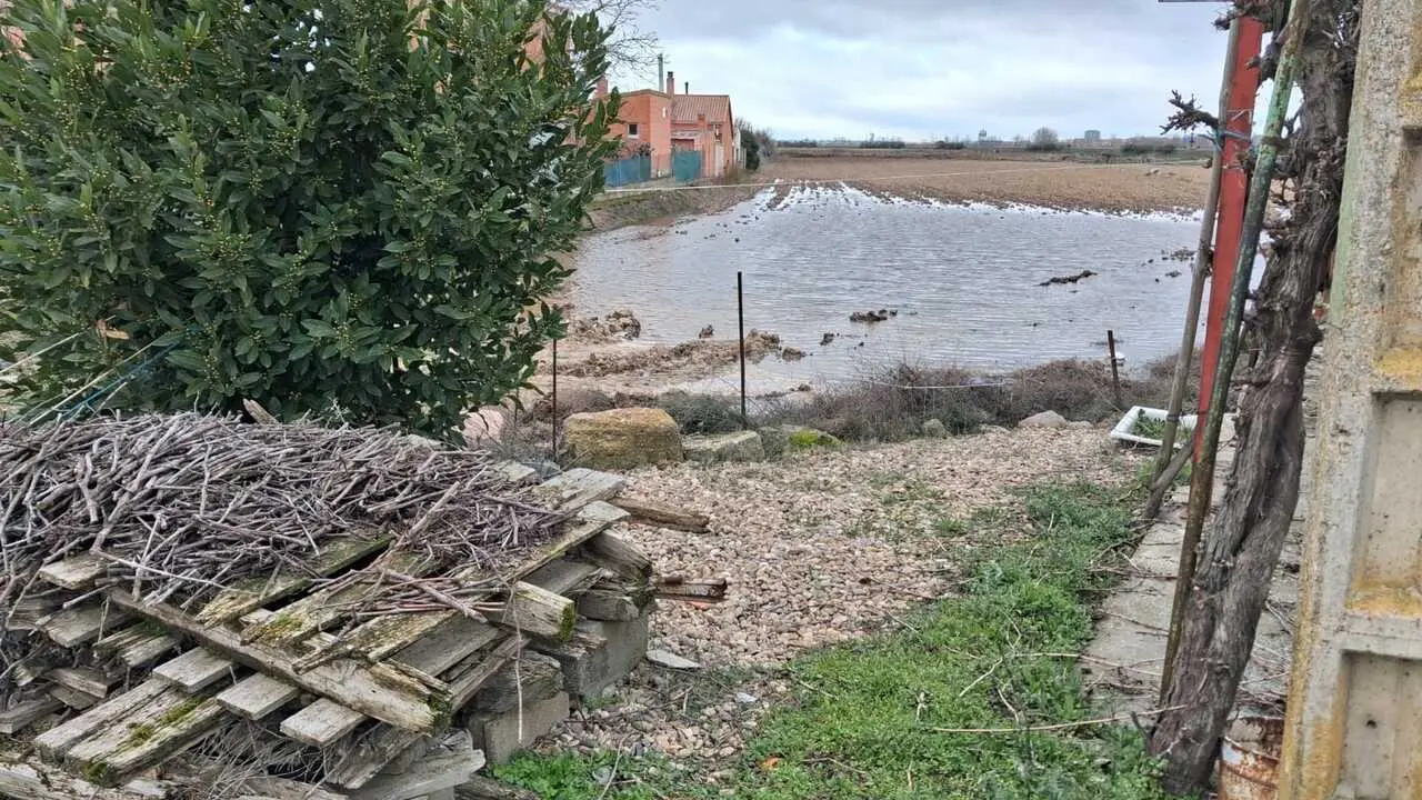 La Rinconada Zamora crecida del Duero 