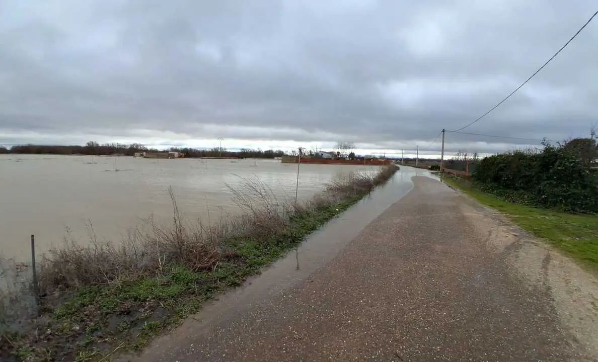 La Rinconada Zamora crecida del Duero _4
