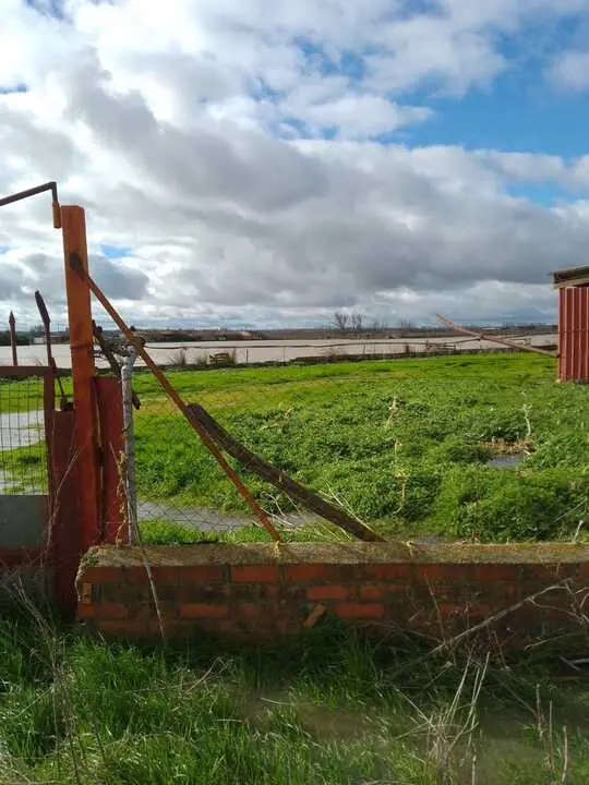 La Rinconada Zamora crecida del Duero _7