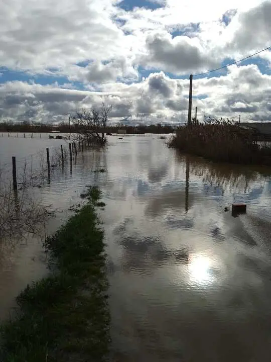 La Rinconada Zamora crecida del Duero _10