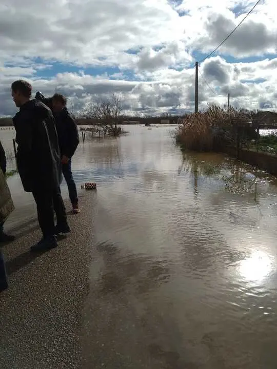 La Rinconada Zamora crecida del Duero _11