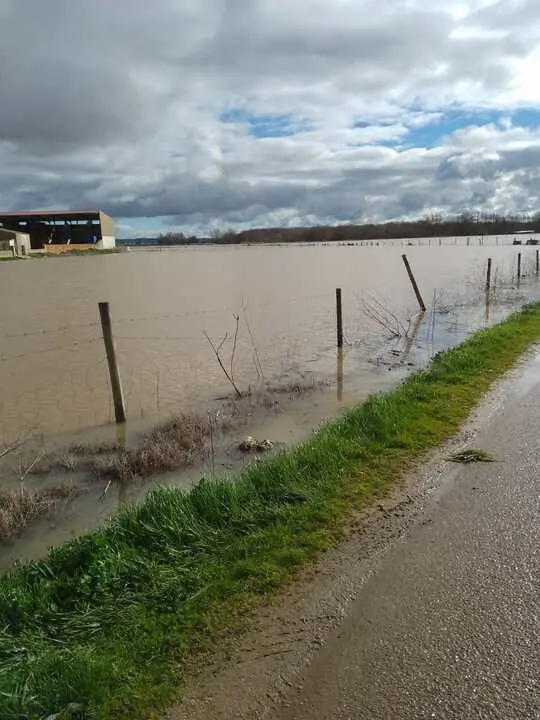 La Rinconada Zamora crecida del Duero _13