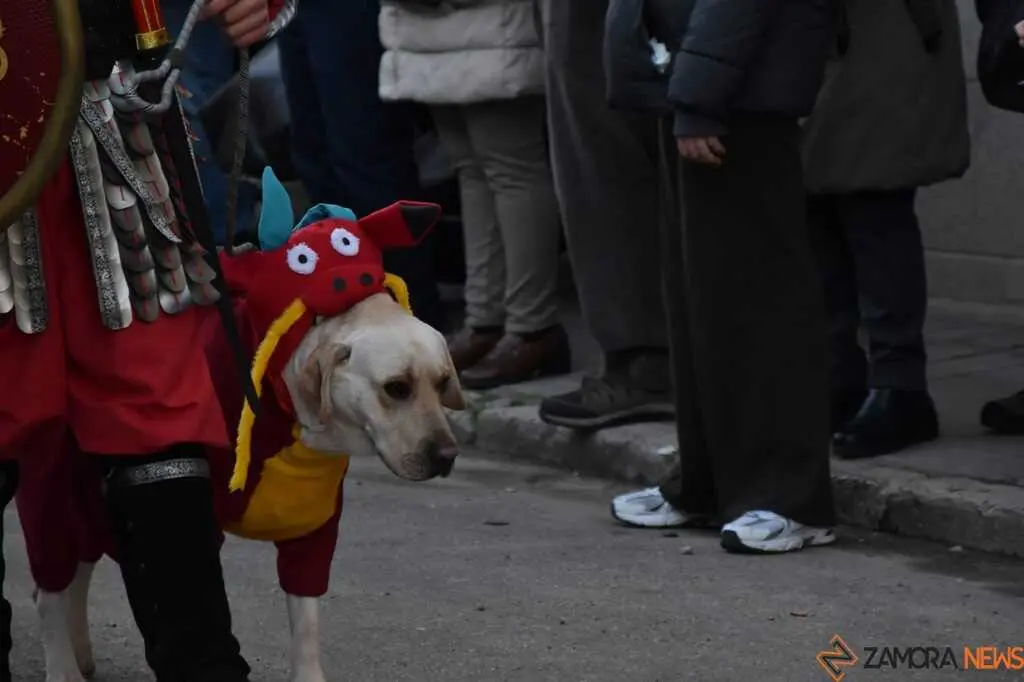 Desfile Infantil Carnaval Toro Martes _11