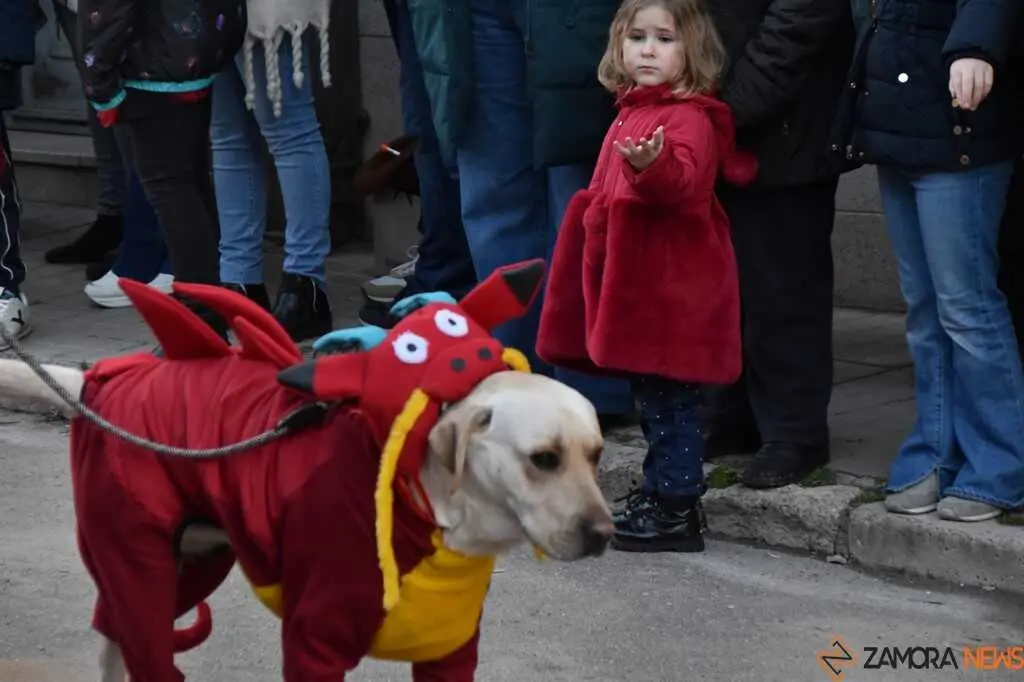 Desfile Infantil Carnaval Toro Martes _13