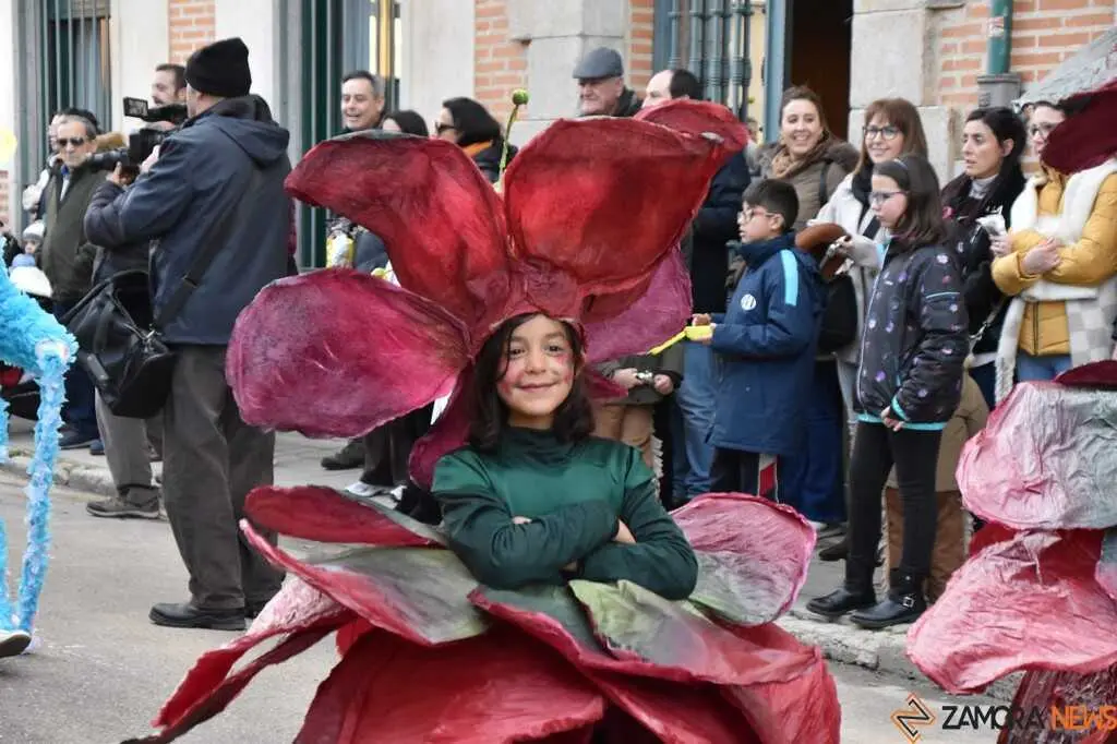 Desfile Infantil Carnaval Toro Martes _65