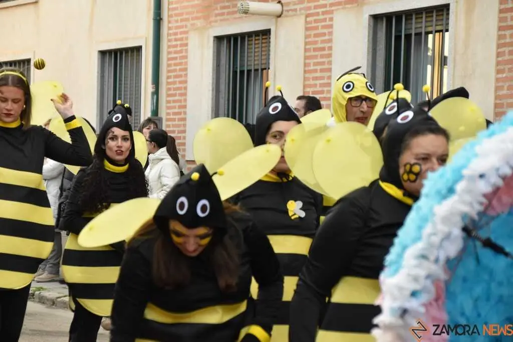 Desfile Infantil Carnaval Toro Martes _66