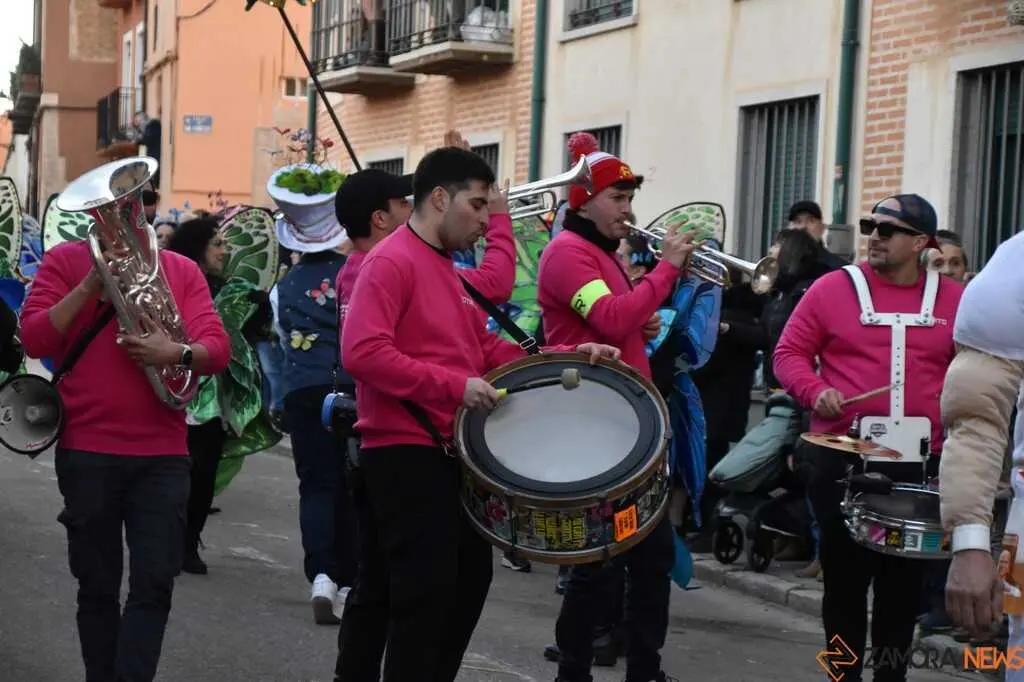 Desfile Carnaval Toro Martes _24