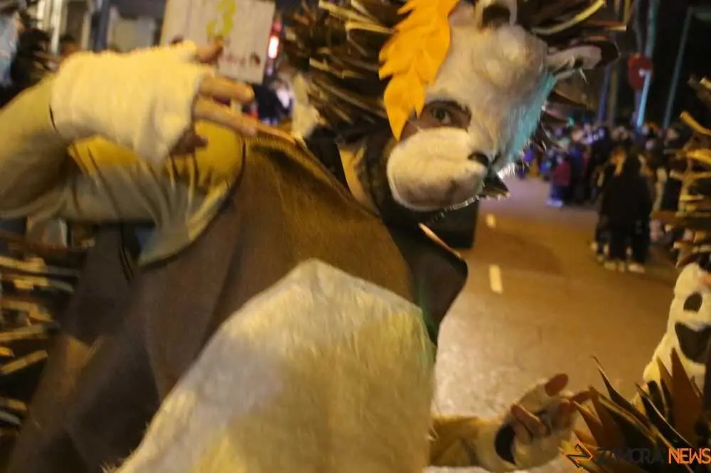 carnaval zamora 2026_10