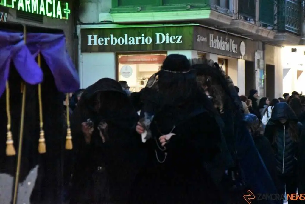 Entierro de la sardina 2026_4