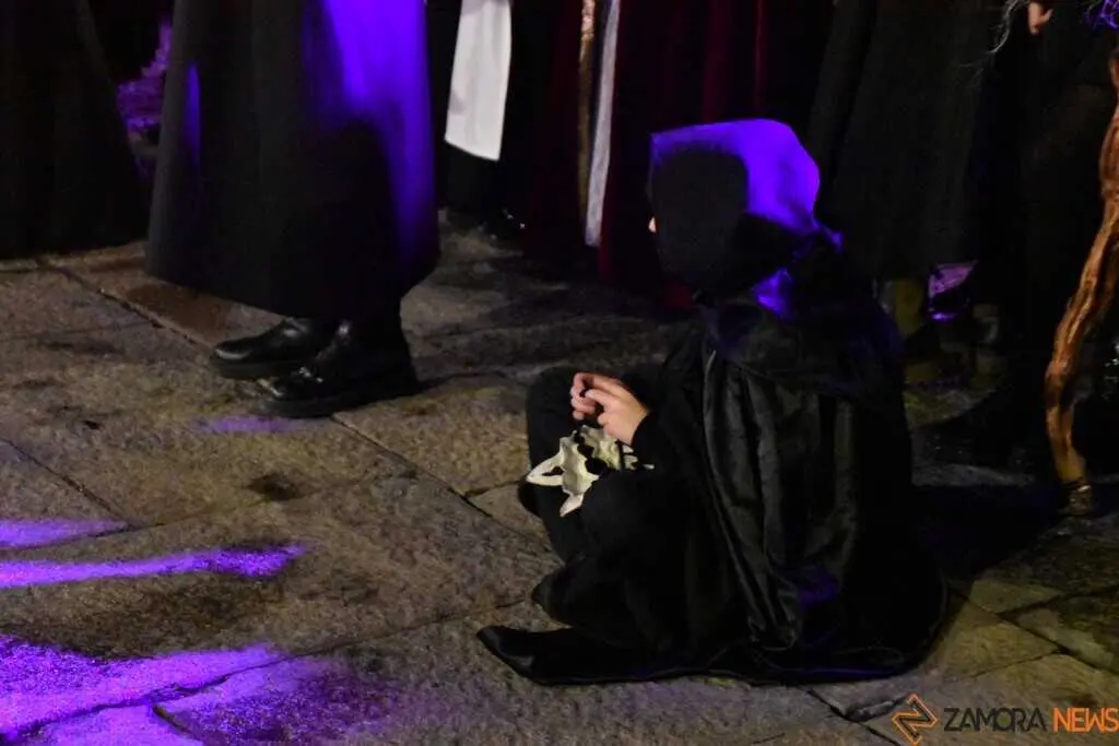 Entierro de la sardina 2026_42