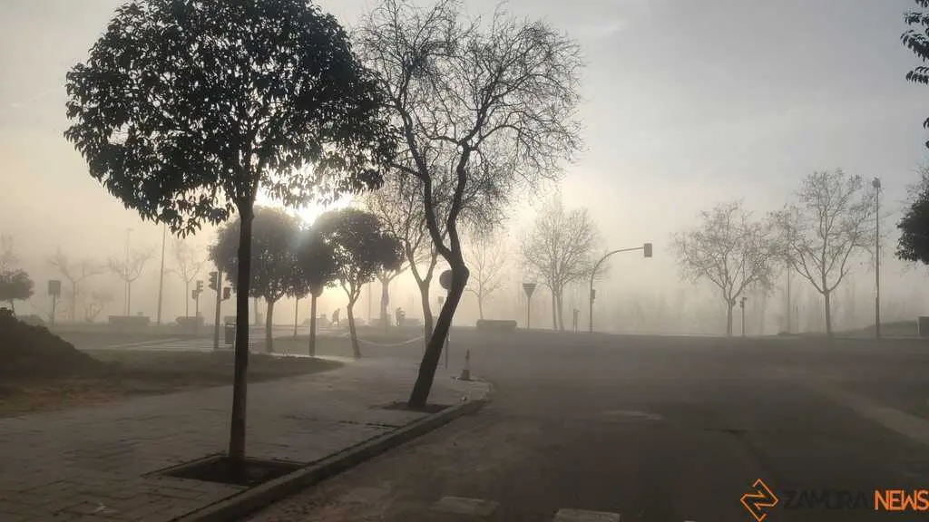 Niebla y sol en Zamora 