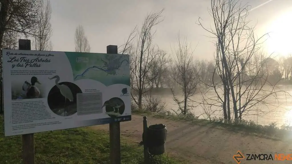 Niebla y sol en Zamora _5