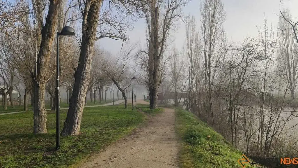 Niebla y sol en Zamora _6