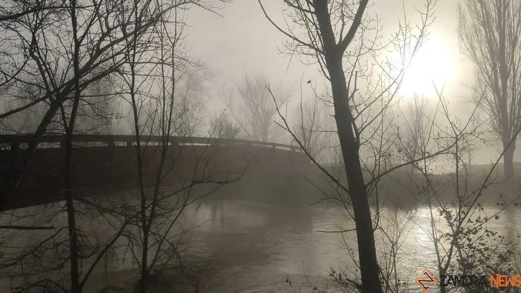 Niebla y sol en Zamora _9