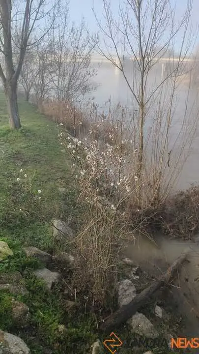 Niebla y sol en Zamora _13