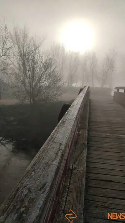 Niebla y sol en Zamora _16