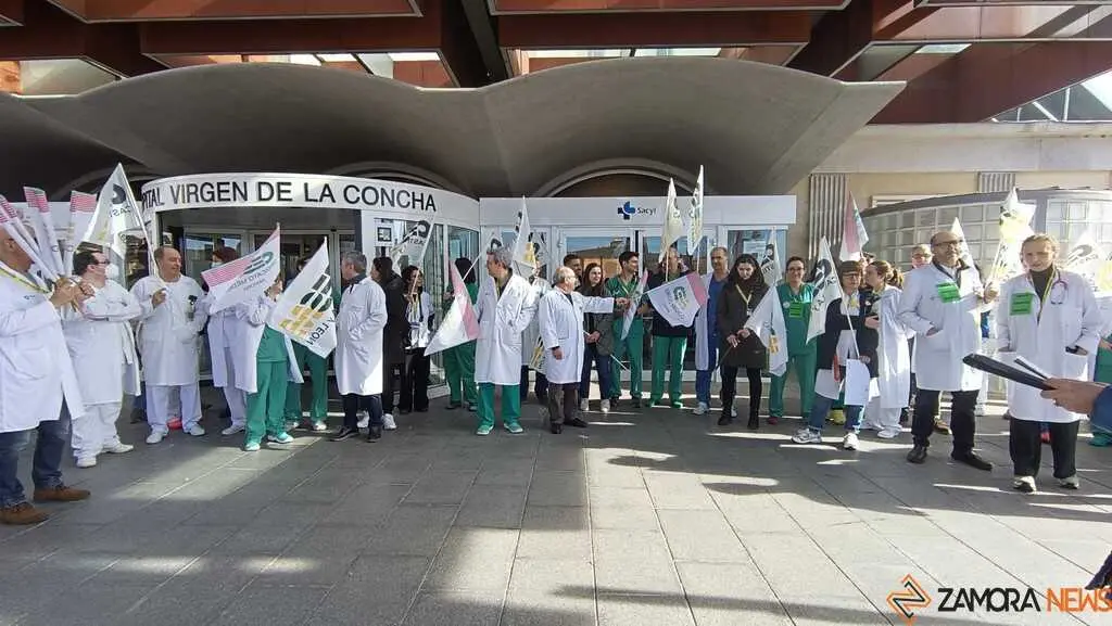 Protestas m&eacute;dicos de Zamora _3