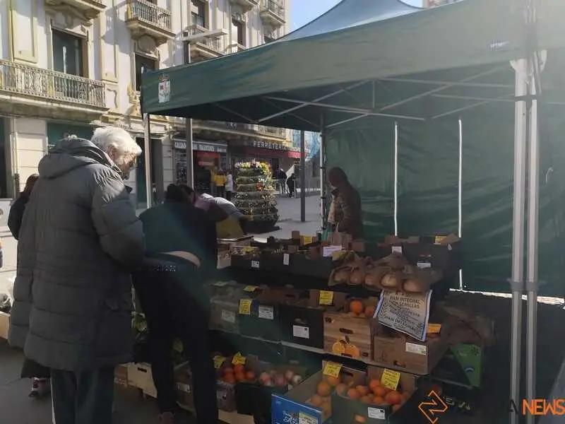 mercado ecol&oacute;gico 