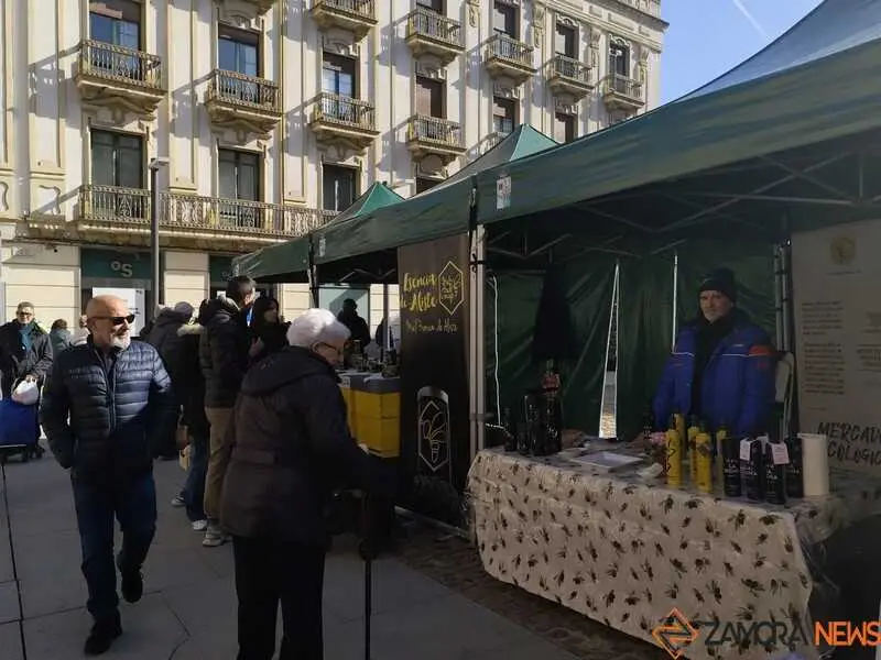 mercado ecol&oacute;gico _2