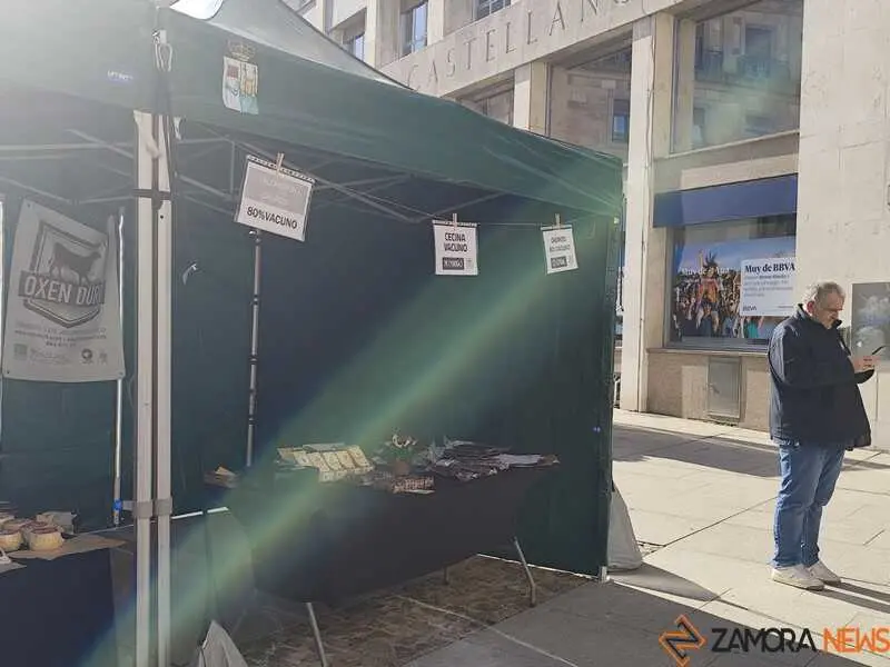 mercado ecol&oacute;gico _8