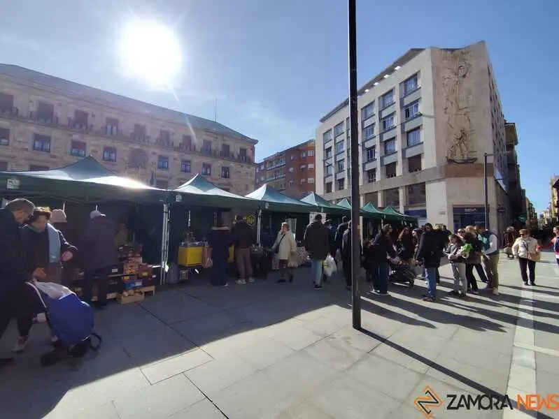 mercado ecol&oacute;gico _10