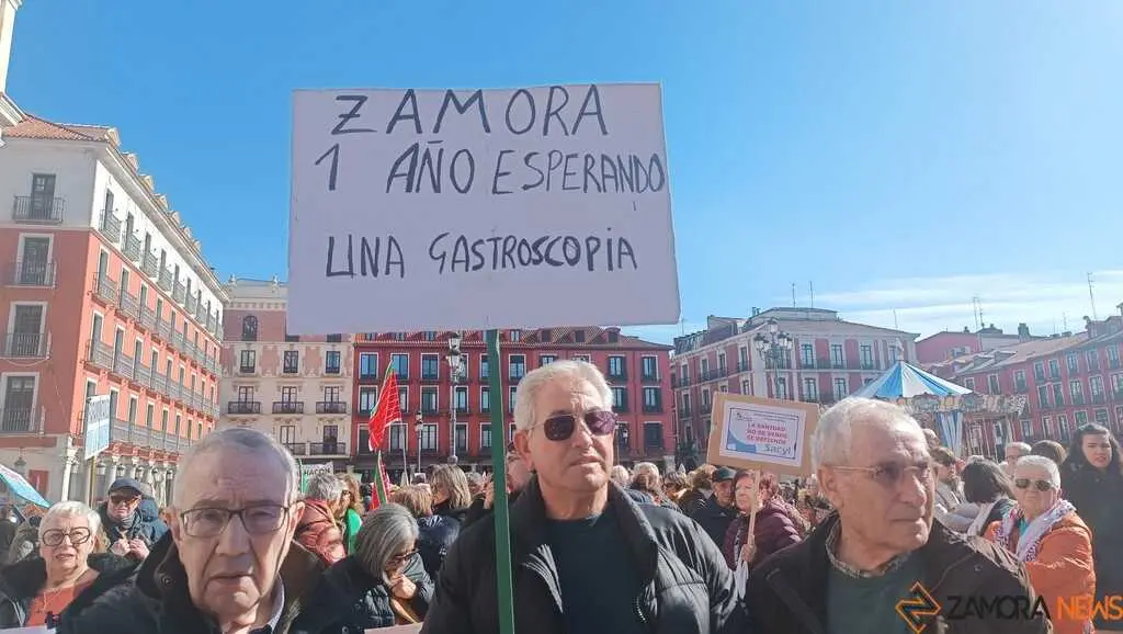 Zamora presente en la manifiestaci&oacute;n de la Sanidad en Valladolid  