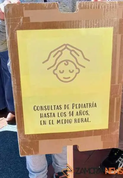 Zamora presente en la manifiestaci&oacute;n de la Sanidad en Valladolid  _2