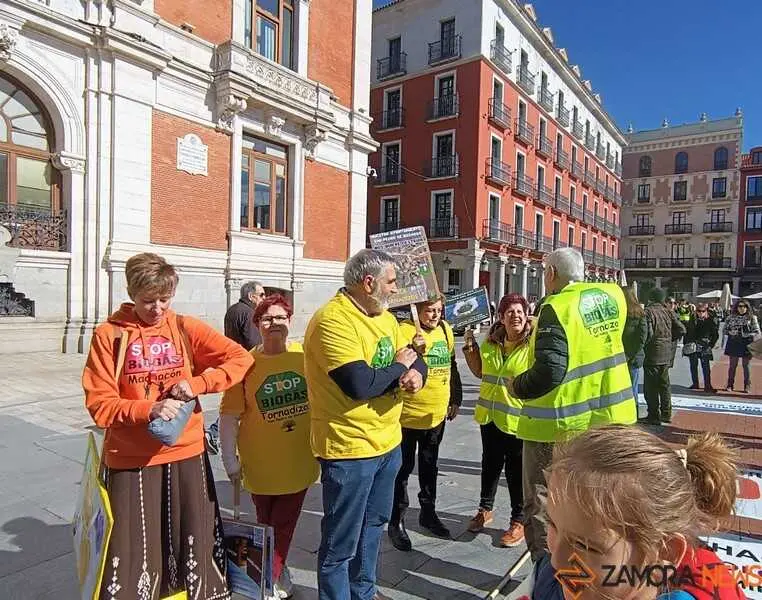 Zamora presente en la manifiestaci&oacute;n de la Sanidad en Valladolid  _6