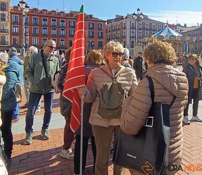 Zamora presente en la manifiestaci&oacute;n de la Sanidad en Valladolid  _8