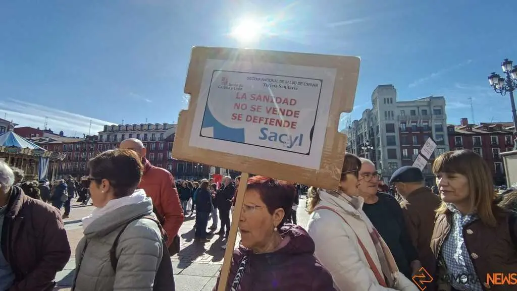 Zamora presente en la manifiestaci&oacute;n de la Sanidad en Valladolid  _9