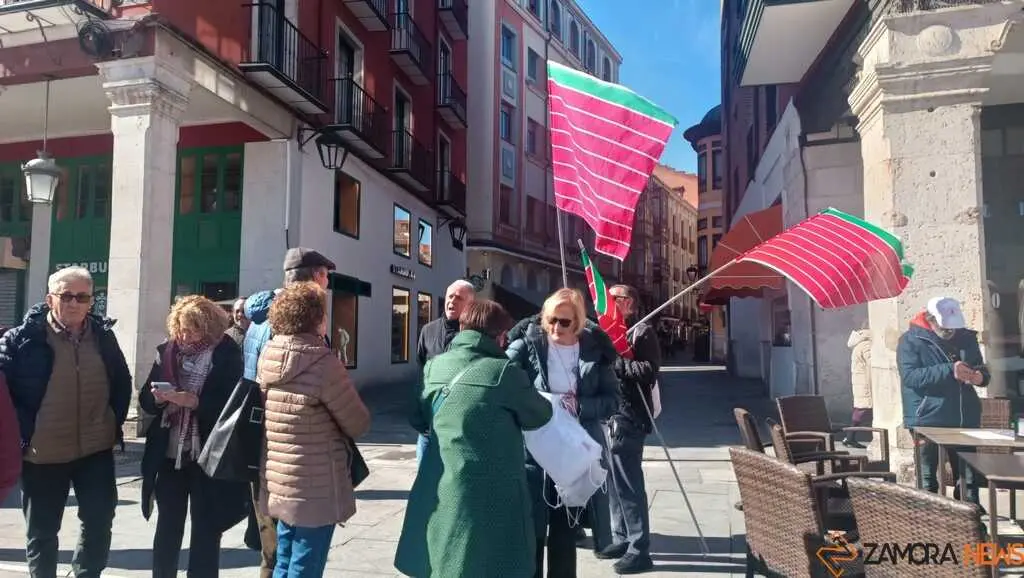 Zamora presente en la manifiestaci&oacute;n de la Sanidad en Valladolid  _12