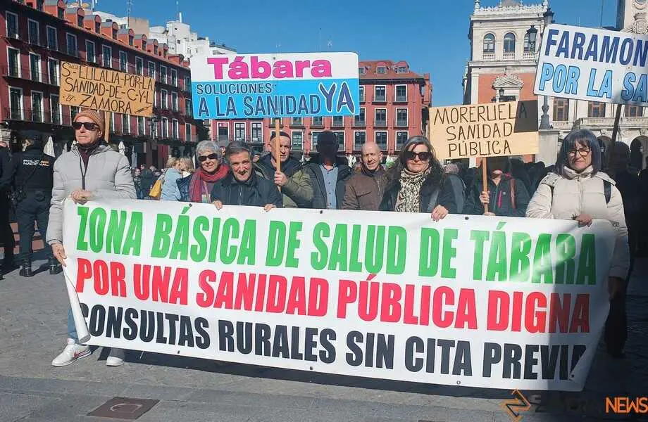 Zamora presente en la manifiestaci&oacute;n de la Sanidad en Valladolid  _13