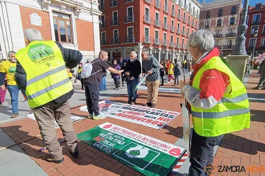 Zamora presente en la manifiestaci&oacute;n de la Sanidad en Valladolid  _14