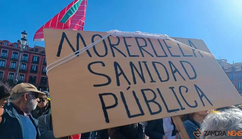 Zamora presente en la manifiestaci&oacute;n de la Sanidad en Valladolid  _18