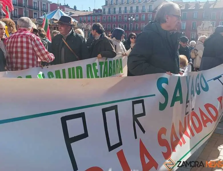 Zamora presente en la manifiestaci&oacute;n de la Sanidad en Valladolid  _19
