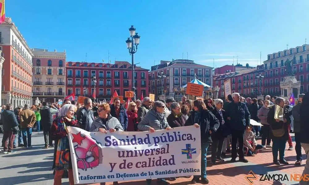 Zamora presente en la manifiestaci&oacute;n de la Sanidad en Valladolid  _23