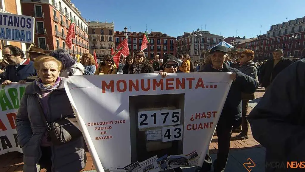 Zamora presente en la manifiestaci&oacute;n de la Sanidad en Valladolid  _25