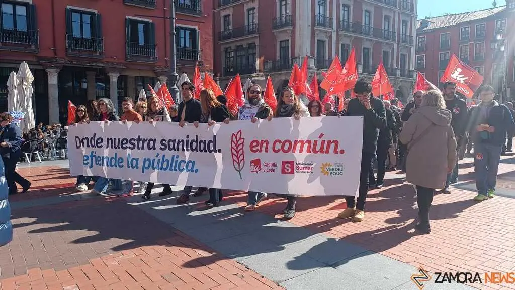 Zamora presente en la manifiestaci&oacute;n de la Sanidad en Valladolid  _32