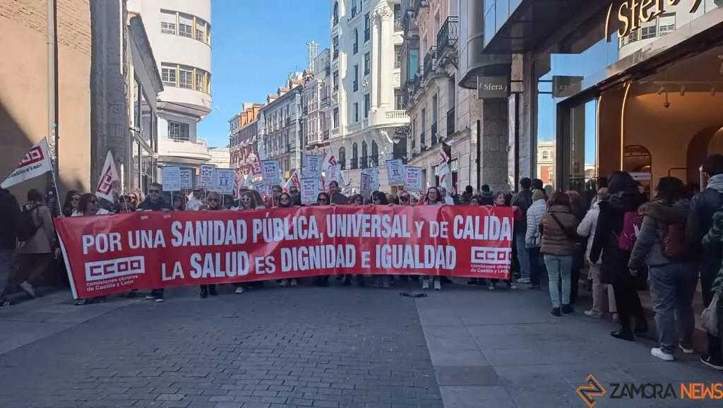 Zamora presente en la manifiestaci&oacute;n de la Sanidad en Valladolid  _34