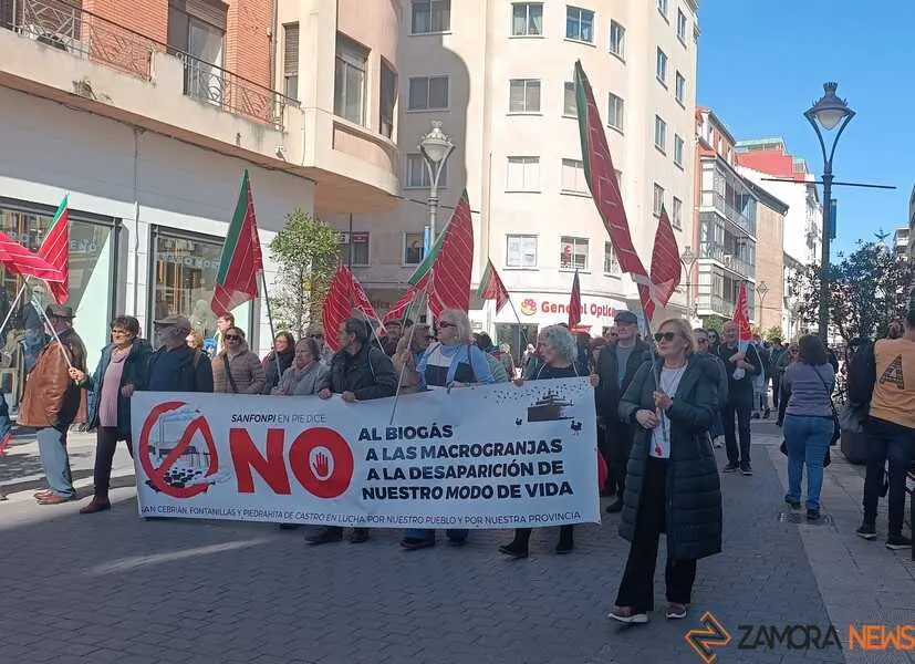 Zamora presente en la manifiestaci&oacute;n de la Sanidad en Valladolid  _35