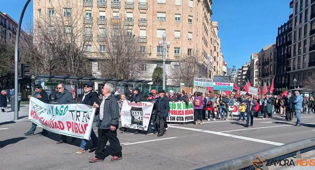 Zamora presente en la manifiestaci&oacute;n de la Sanidad en Valladolid  _37