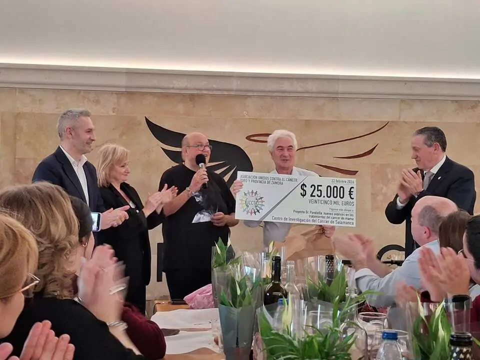 D&iacute;a solidario Toro