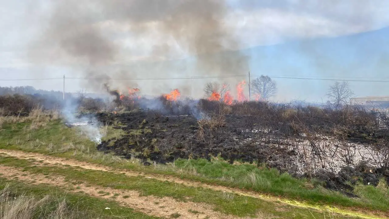 Incendio en San Vitero  (1)