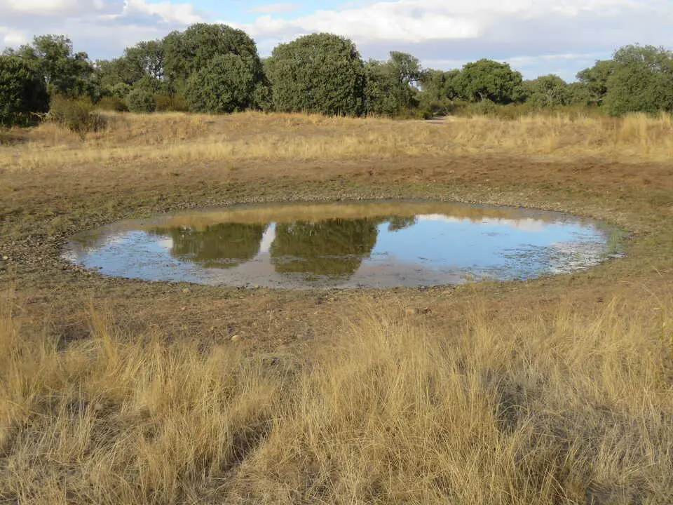 Laguna en Monte la Reina