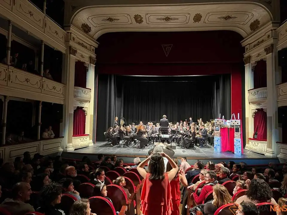 Conciertos Divertidos Zamora _11