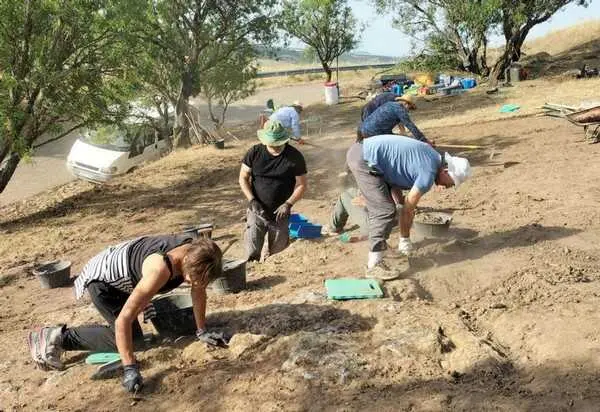 Vaccea excavaci&oacute;n